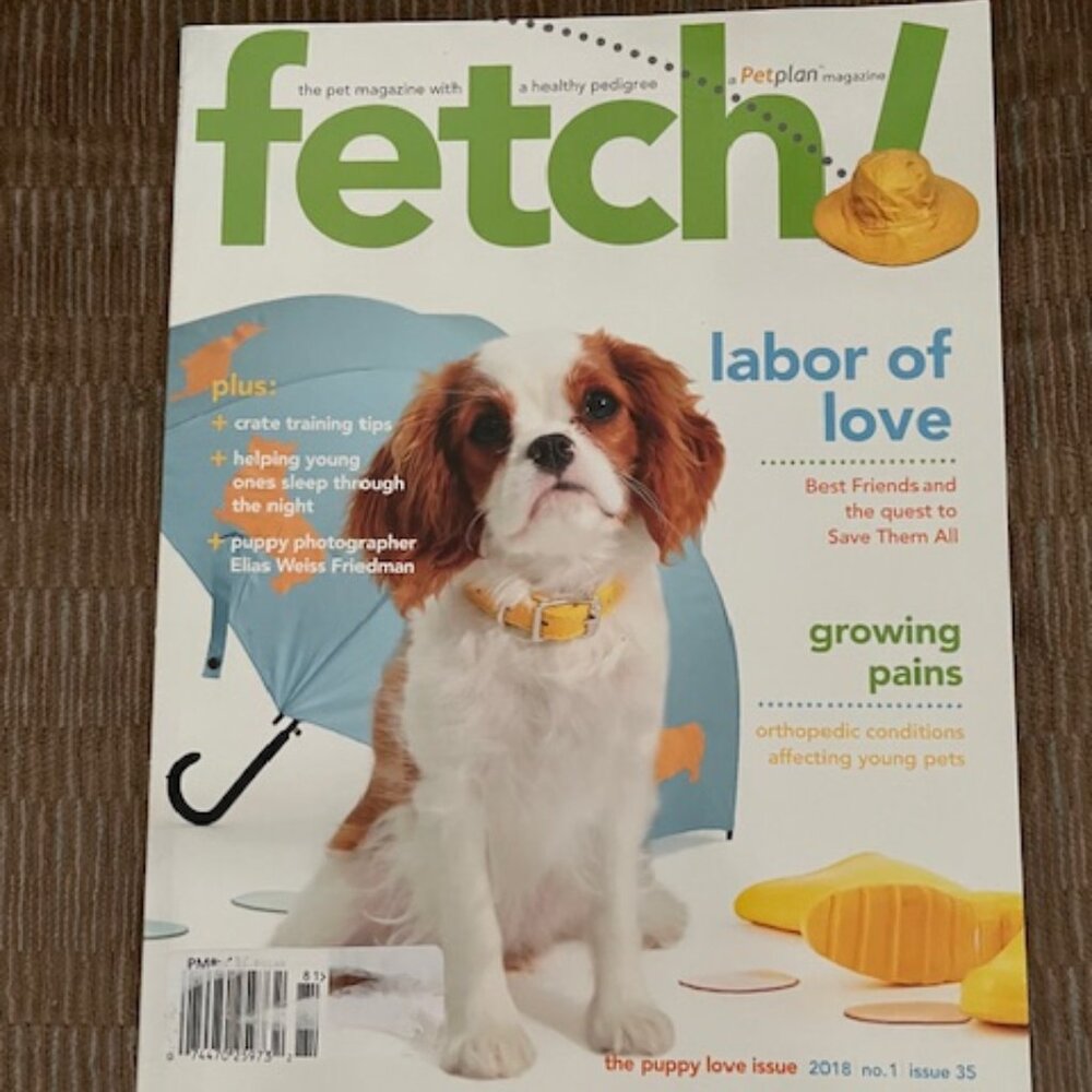 2/$20 Fetch The Pet Magazine with a Healthy Pedigree The Puppy Love Issue 2018